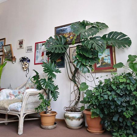 Tamari Guest House Telavi Dış mekan fotoğraf
