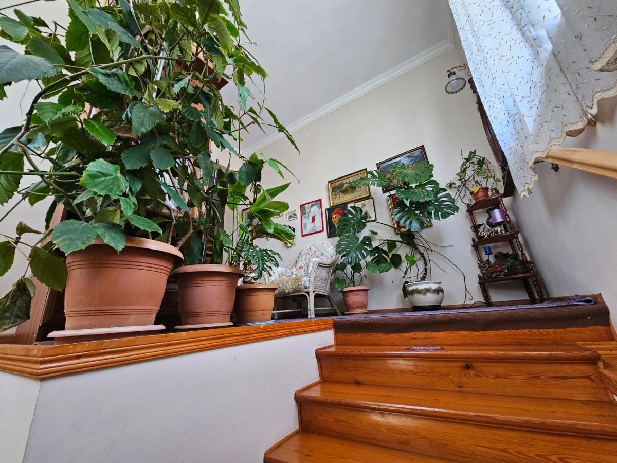 Tamari Guest House Telavi Dış mekan fotoğraf