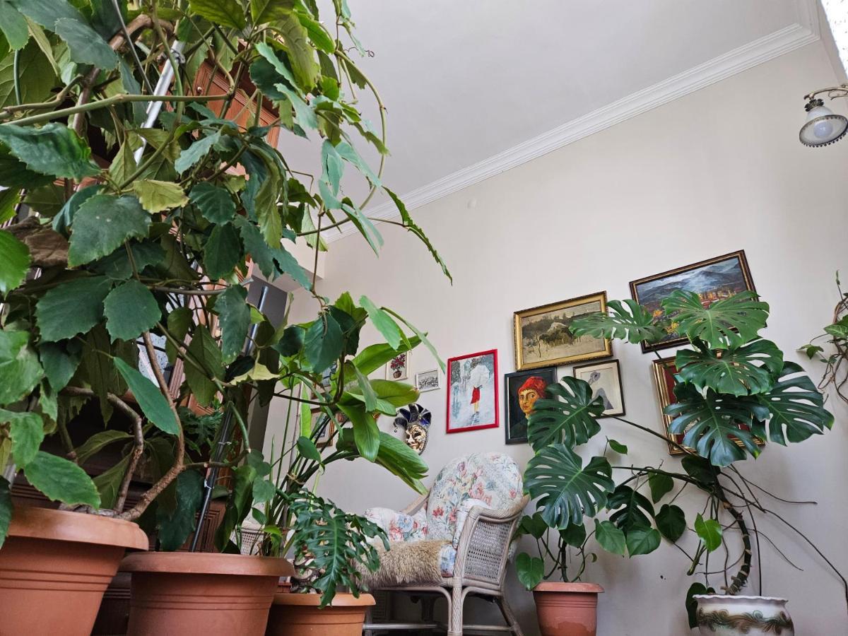 Tamari Guest House Telavi Dış mekan fotoğraf
