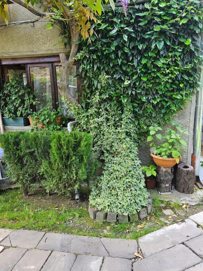 Tamari Guest House Telavi Dış mekan fotoğraf