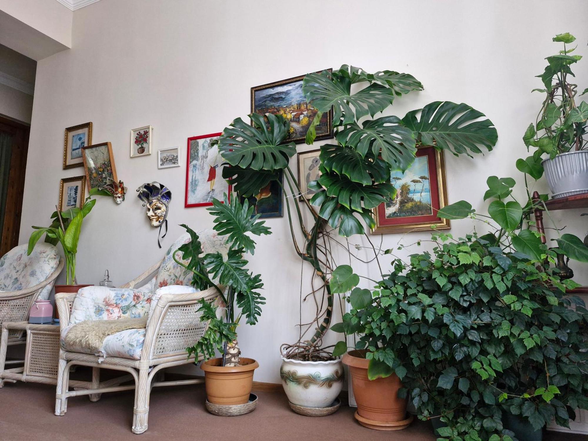 Tamari Guest House Telavi Dış mekan fotoğraf