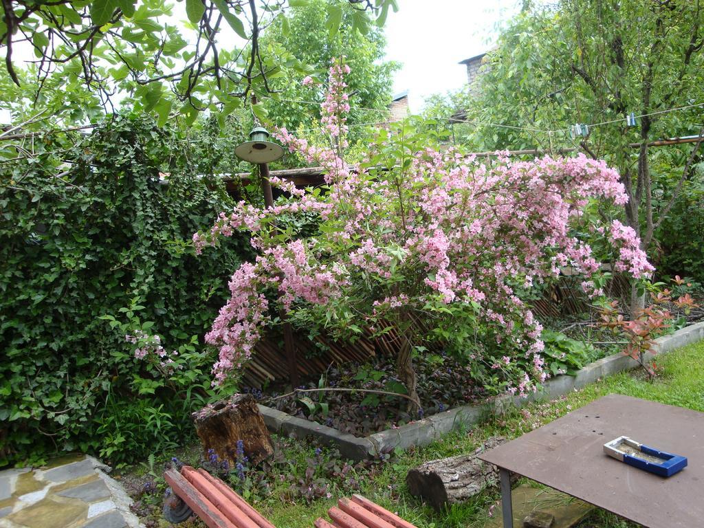 Tamari Guest House Telavi Dış mekan fotoğraf