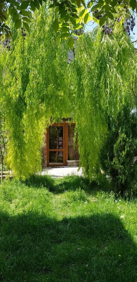Tamari Guest House Telavi Dış mekan fotoğraf
